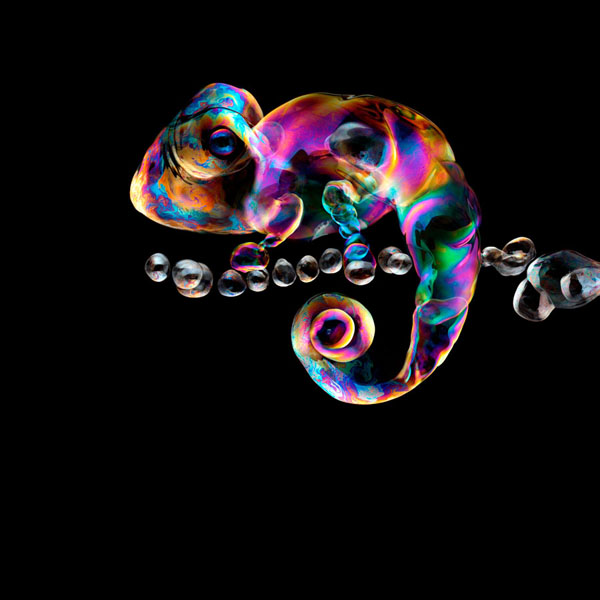 Photograph Floriana Barbu Chameleon At Soap Bubble Party on One Eyeland