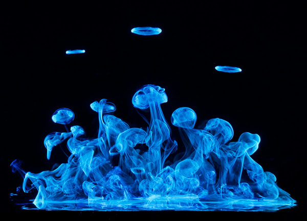 Photograph Don Farrall Luminescent Play on One Eyeland