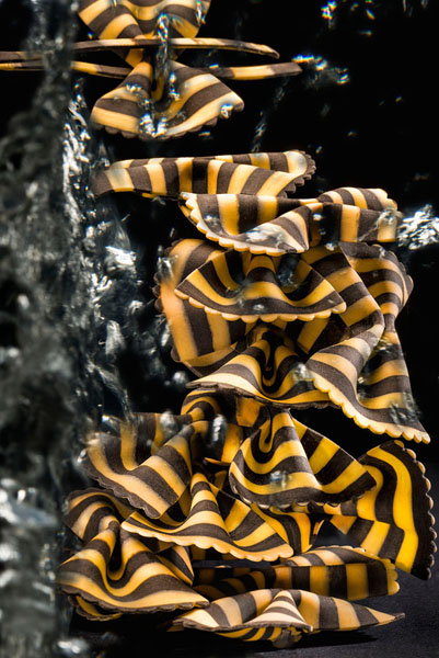 Photograph Jan Kalish Rinsing Squid Pasta on One Eyeland