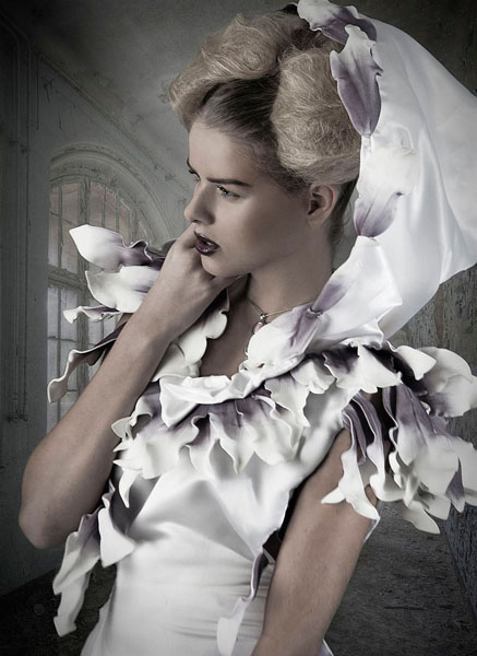 Photograph Heike Suhre Purple on One Eyeland