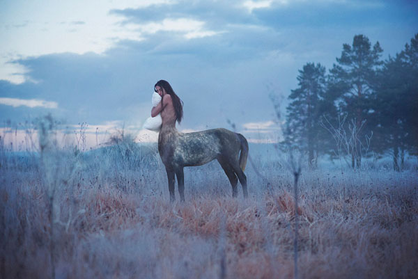 Photograph Serge Akinto Centaurs Also Sleep Standing Up on One Eyeland