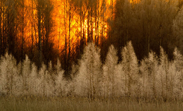Photograph Ilkka Kokkonen Cold Winter Morning on One Eyeland