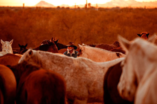 Photograph George Kamper Tanque Verde 2 on One Eyeland