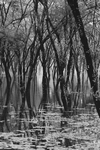 Photograph Faiyaz Hawawala Into The Nature on One Eyeland