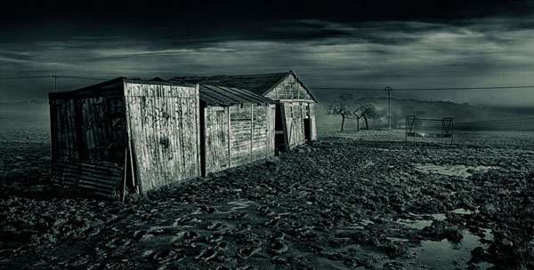 Photograph Nigel Harniman Black And White Aop Open Award on One Eyeland