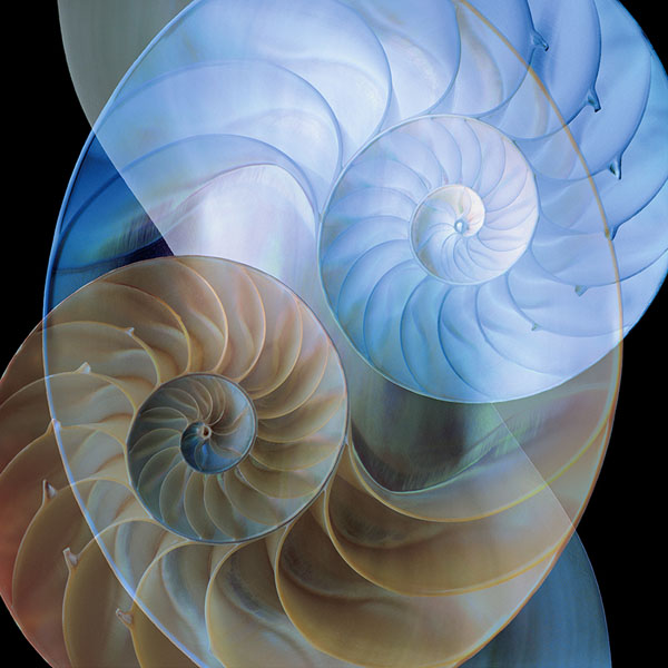 Photograph Glen Wexler Unity on One Eyeland
