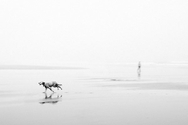 Photograph Rafa Herrero Doggy Notion on One Eyeland