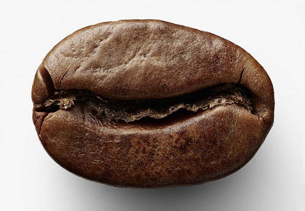 Photograph Marc Tule Coffee Bean on One Eyeland