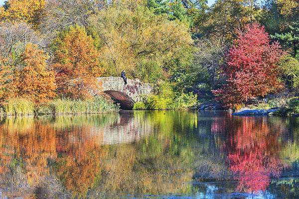 Photograph Mitchell Funk Stone Bridge In Autumn on One Eyeland