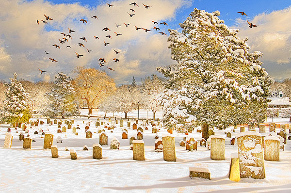 Photograph Mitchell Funk Old Cemetery on One Eyeland