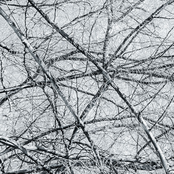 Photograph Jose Conceptes Densidades on One Eyeland