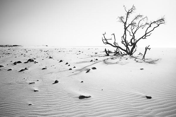 Photograph Rodrigo West Autumn on One Eyeland