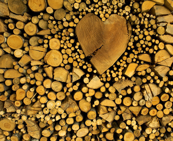 Photograph Enzo Crispino Cuore Infranto on One Eyeland