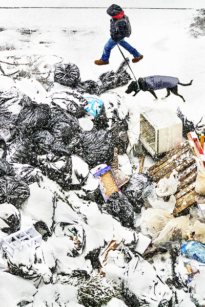 Photograph Mitchell Funk City Dog Walker on One Eyeland