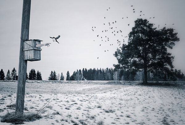 Photograph Jarno Huttunen Mommy Takes Care on One Eyeland