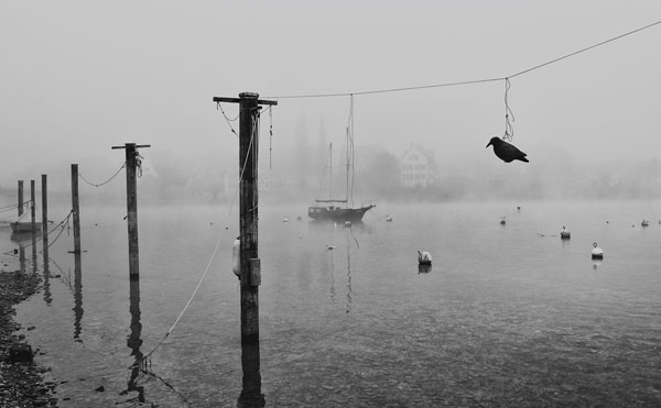 Photograph Agustina Prats Alone on One Eyeland