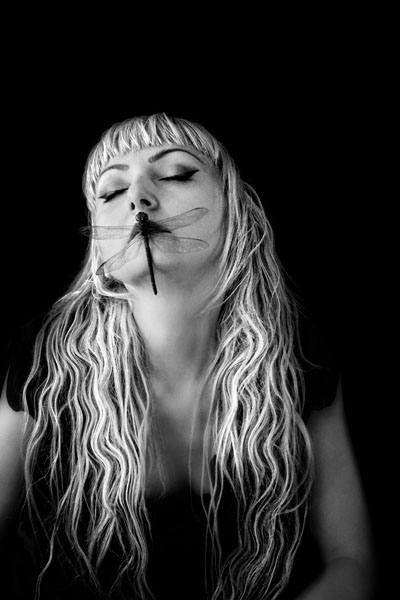 Photograph Michele Taras Dragonfly Kiss on One Eyeland