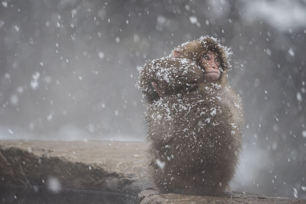 Photograph Takeshi Marumoto Snowy Day on One Eyeland