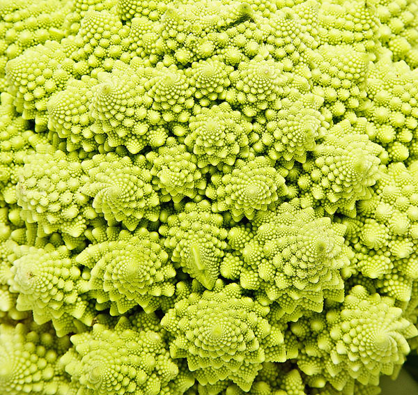 Photograph Oskar Calero Romanescu on One Eyeland