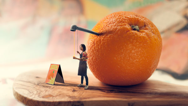 Photograph Marcello Maiorana True Orange on One Eyeland