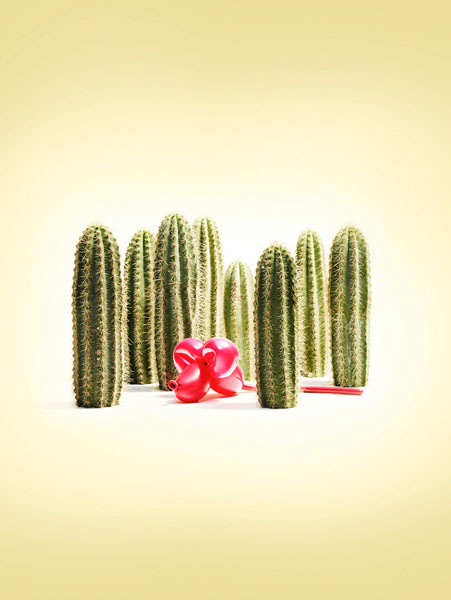 Photograph Trevor Pearson Balloon Animal Cactus Mouse on One Eyeland