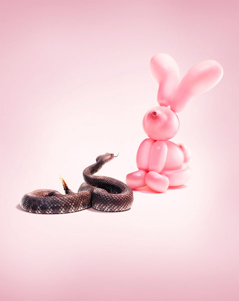Photograph Trevor Pearson Balloon Animal Rattle Snake Bunny on One Eyeland