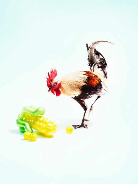 Photograph Trevor Pearson Balloon Animal Rooster Corn on One Eyeland