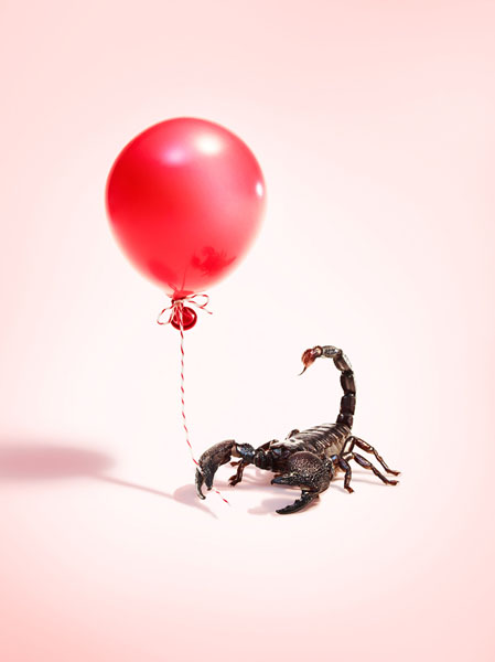 Photograph Trevor Pearson Balloon Animal Scorpion Balloon on One Eyeland