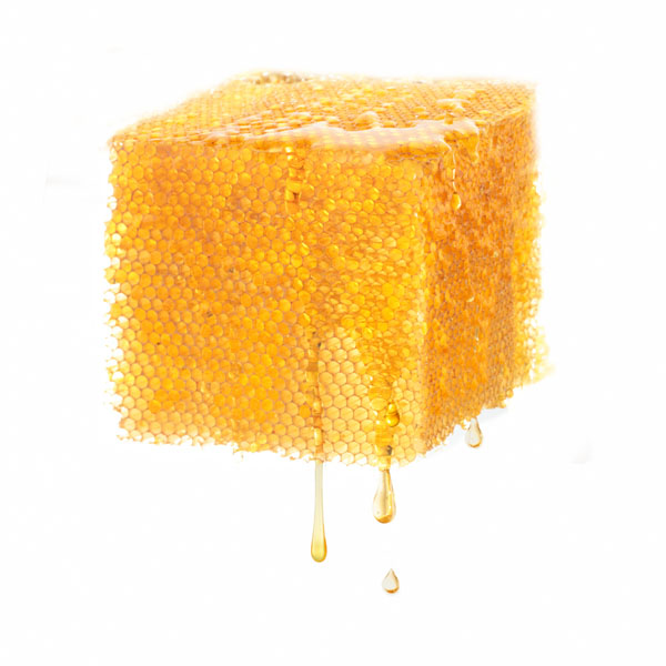 Photograph Floriana Barbu Bees Work Objectified on One Eyeland