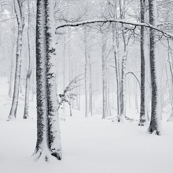 Photograph Rafa Herrero Aralar Ii on One Eyeland