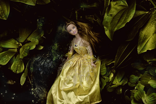 Photograph Dewi Doc Goldy Princess on One Eyeland