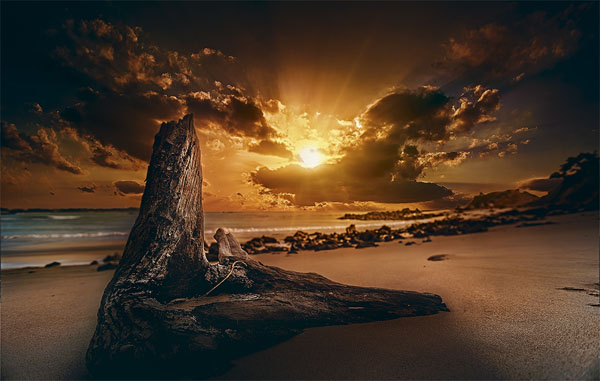 Photograph Jackson Carvalho Still Life on One Eyeland