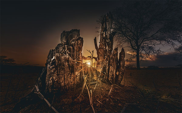 Photograph Jackson Carvalho Twin Towers on One Eyeland