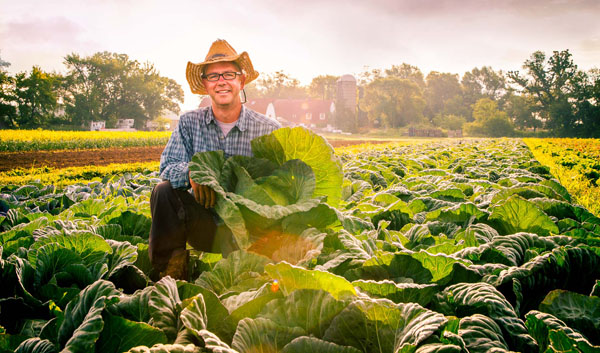 Photograph Mike Seroni Farm Life 3 on One Eyeland