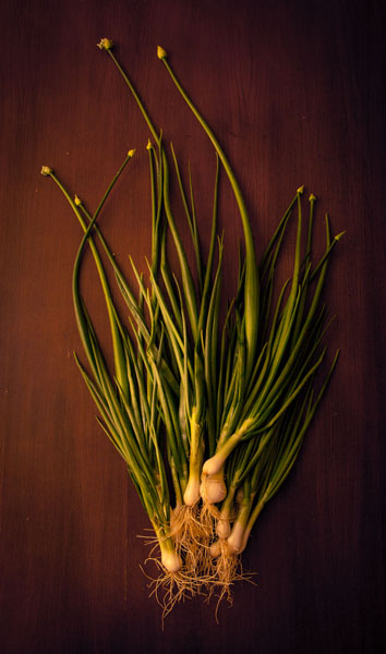 Photograph Mike Seroni Farm Life Dinner 1 on One Eyeland