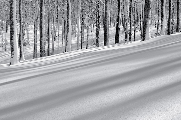 Photograph Dabid Argindar Aralar_ Shadows In The Snow on One Eyeland