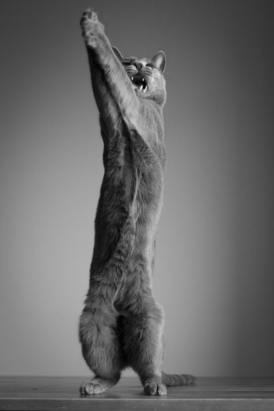 Photograph Ewelina Lesik Igor on One Eyeland
