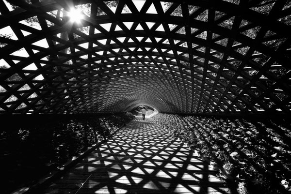 Photograph Sho Shibata Vortex on One Eyeland
