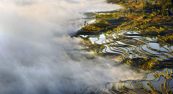 Photograph Thierry Bornier Terraces Of Mist on One Eyeland