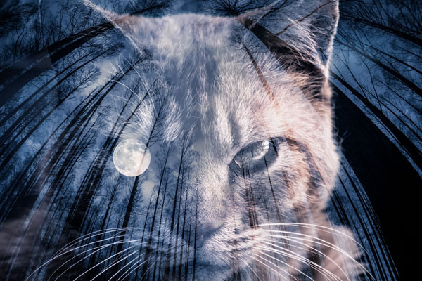 Photograph Hiro Kazuki Moon Eye on One Eyeland
