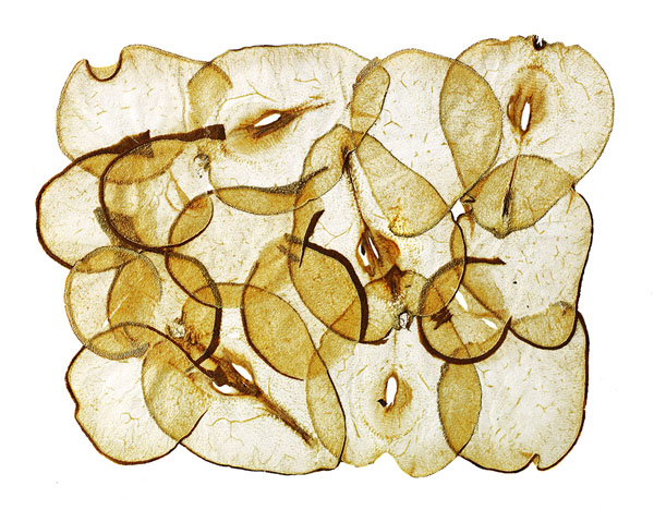 Photograph David Bishop Pears on One Eyeland