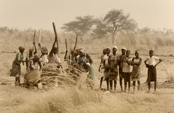 Photograph Roberto Nencini Harvest on One Eyeland