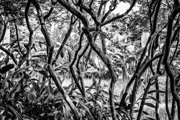 Photograph Masanaga Miyazato N on One Eyeland