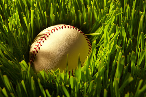 Photograph David Slivinski Baseball In Grass on One Eyeland
