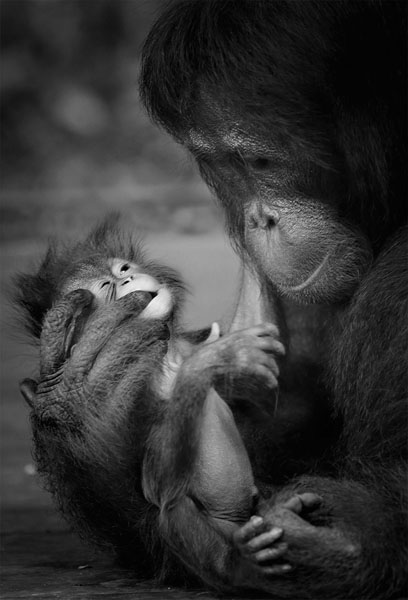 Photograph Jibul Bleduk Save Us on One Eyeland