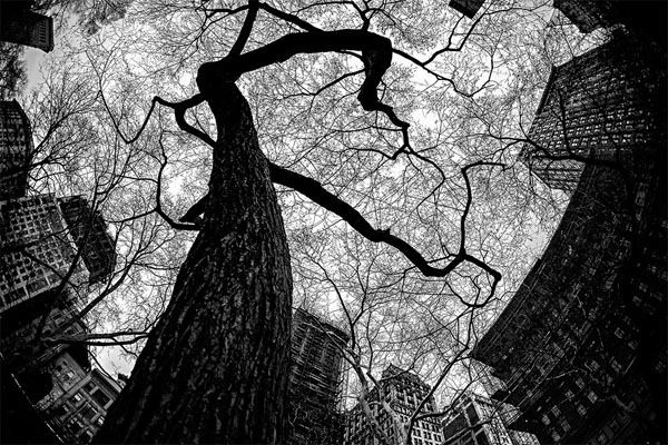 Photograph Jackson Carvalho Veins Of The City 1 on One Eyeland