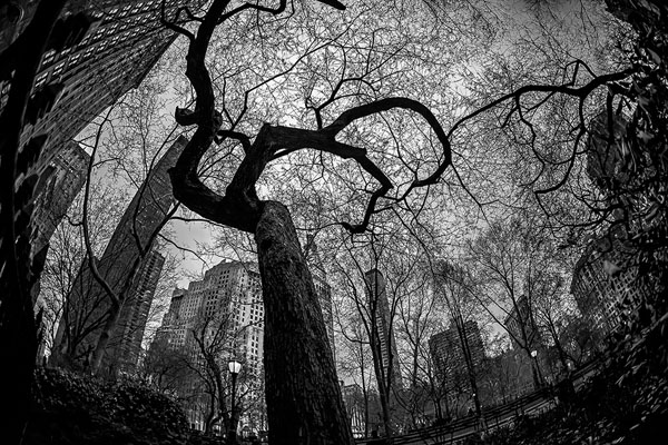 Photograph Jackson Carvalho Veins Of The City 2 on One Eyeland