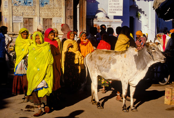 Photograph Roberto Nencini Pushkar Mela 3211 on One Eyeland