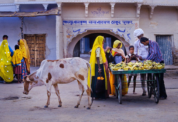 Photograph Roberto Nencini Pushkar Mela 3213 on One Eyeland