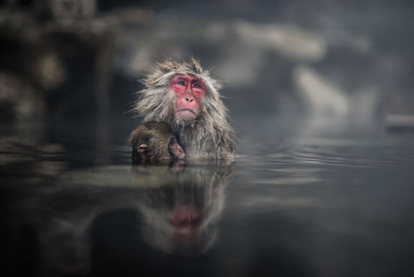Photograph Takeshi Marumoto Mothers Warmth on One Eyeland